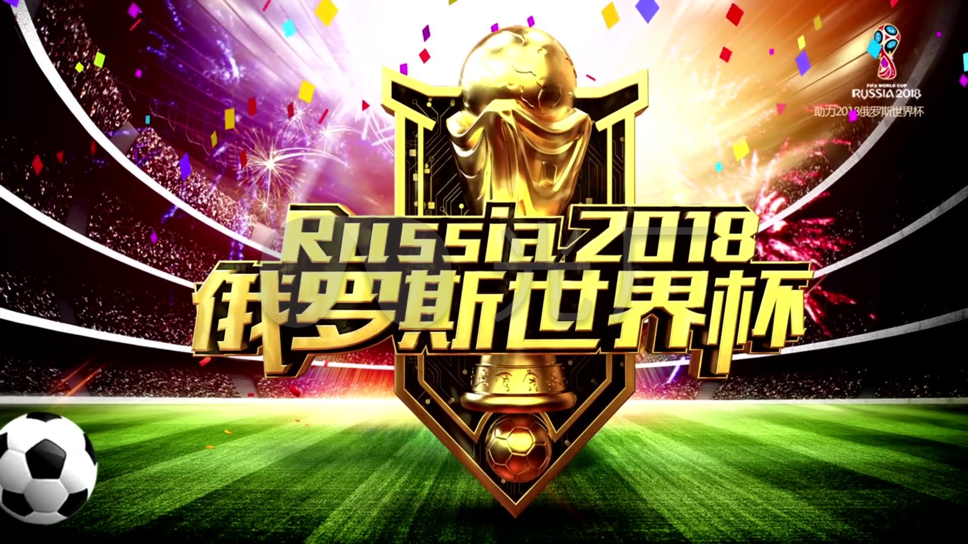 奇教练肖